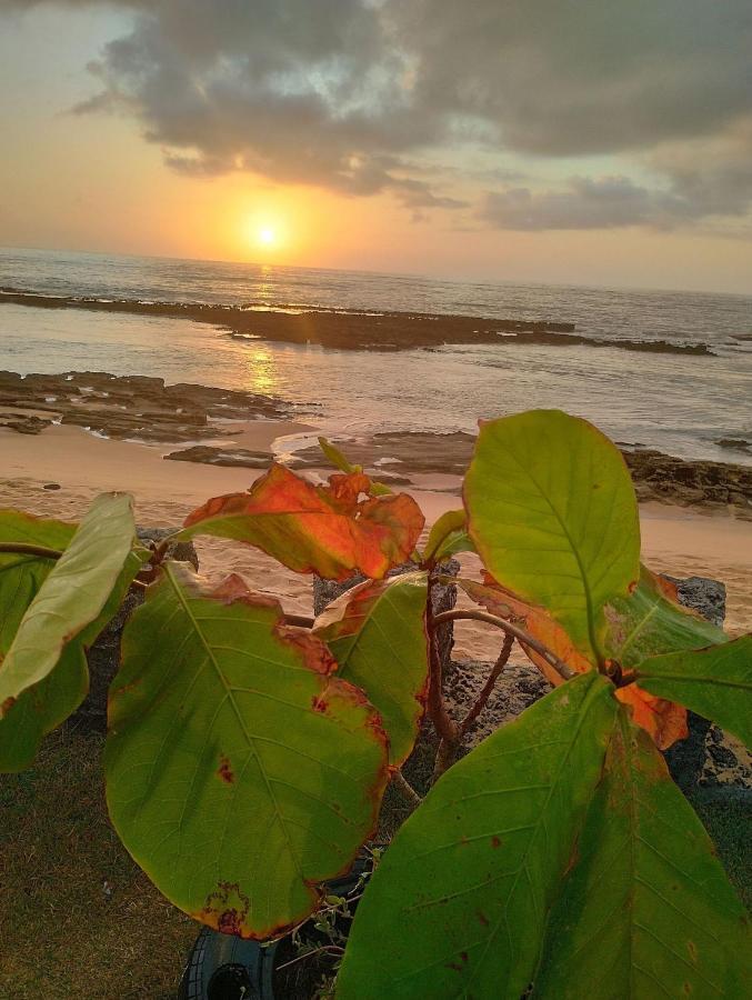 Pousada Tropicalia Tranquilidade A Beira Mar 산타 크루스 카브랄리아 외부 사진